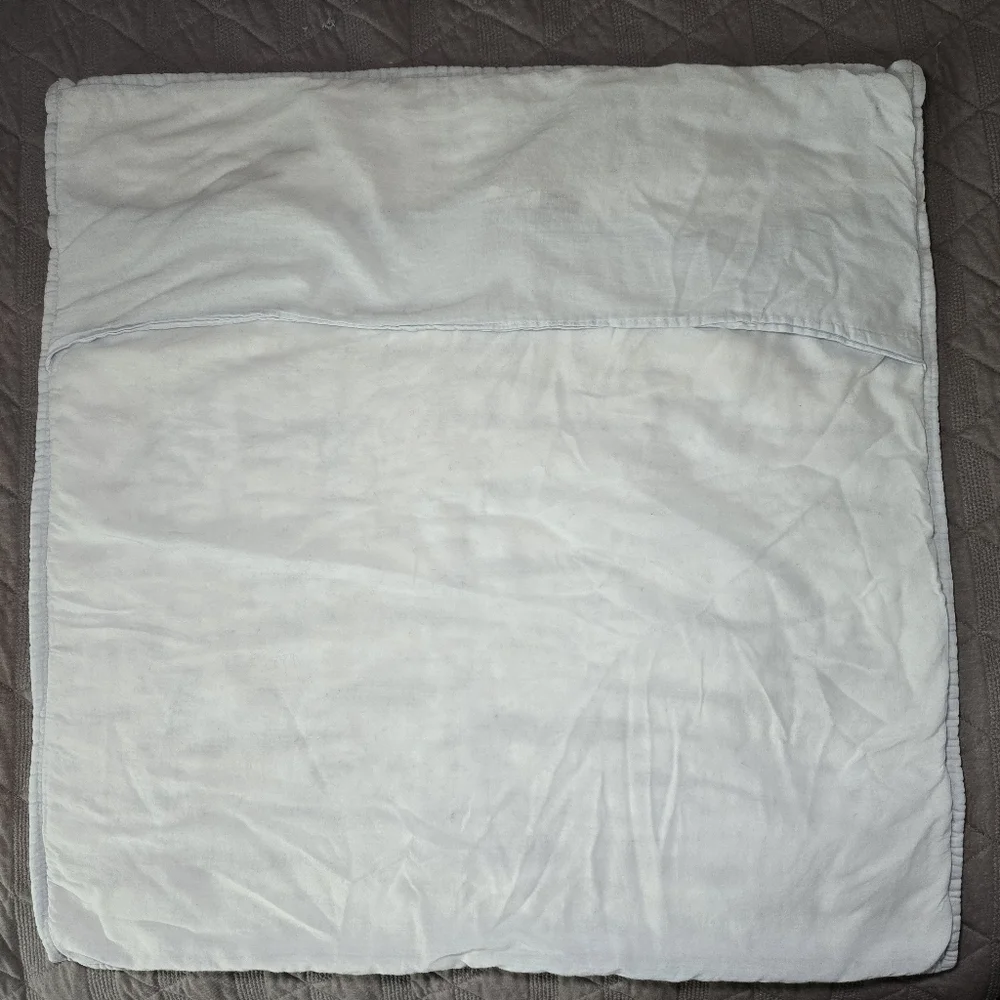 Ballard Designs Paisley Hand Blocked‎ Quilted Pillow Sham, Euro Size 100% Cotton